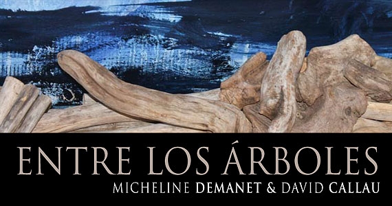 David Callau i Gené. (Artista)